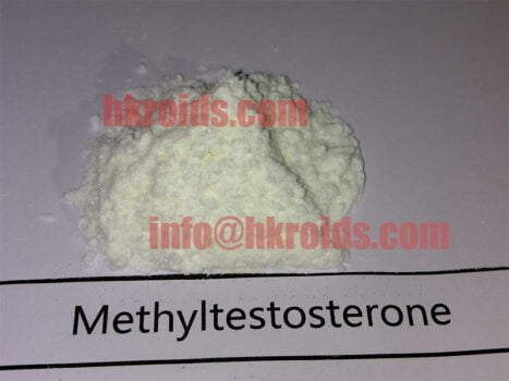 methyltestosterone powder m-test raw supplier hkroids.com 1